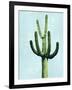 Cactus on Blue IV-Mia Jensen-Framed Art Print