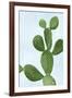 Cactus on Blue VI-Mia Jensen-Framed Art Print