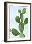 Cactus on Blue VI-Mia Jensen-Framed Art Print