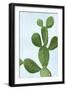 Cactus on Blue VI-Mia Jensen-Framed Art Print