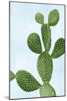 Cactus on Blue VI-Mia Jensen-Mounted Art Print