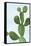 Cactus on Blue VI-Mia Jensen-Framed Stretched Canvas