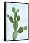 Cactus on Blue VII-Mia Jensen-Framed Stretched Canvas