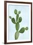 Cactus on Blue VII-Mia Jensen-Framed Art Print