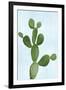 Cactus on Blue VII-Mia Jensen-Framed Art Print