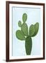 Cactus on Blue VIII-Mia Jensen-Framed Art Print