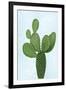 Cactus on Blue VIII-Mia Jensen-Framed Art Print