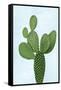 Cactus on Blue VIII-Mia Jensen-Framed Stretched Canvas