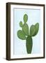 Cactus on Blue VIII-Mia Jensen-Framed Art Print