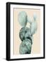 Cactus on Coral I-Grace Popp-Framed Art Print