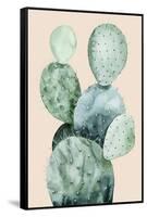 Cactus on Coral II-Grace Popp-Framed Stretched Canvas