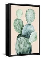 Cactus on Coral II-Grace Popp-Framed Stretched Canvas