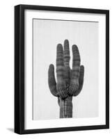 Cactus On Grey-LILA X LOLA-Framed Art Print