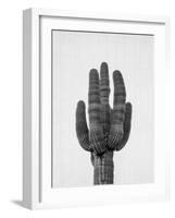 Cactus On Grey-LILA X LOLA-Framed Art Print