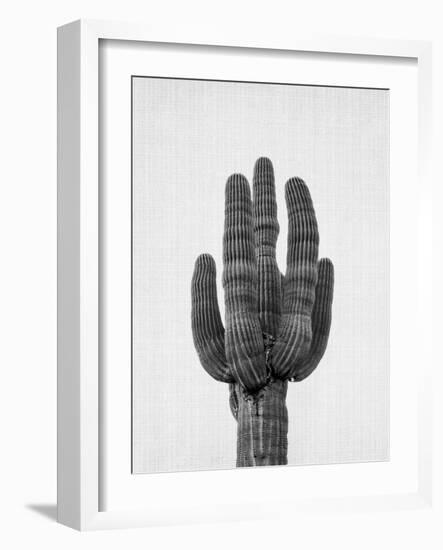 Cactus On Grey-LILA X LOLA-Framed Art Print