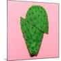 Cactus on Pink Background. Minimal Design Photo-Evgeniya Porechenskaya-Mounted Photographic Print