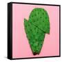 Cactus on Pink Background. Minimal Design Photo-Evgeniya Porechenskaya-Framed Stretched Canvas