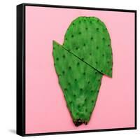 Cactus on Pink Background. Minimal Design Photo-Evgeniya Porechenskaya-Framed Stretched Canvas