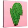 Cactus on Pink Background. Minimal Design Photo-Evgeniya Porechenskaya-Stretched Canvas