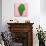 Cactus on Pink Background. Minimal Design Photo-Evgeniya Porechenskaya-Photographic Print displayed on a wall