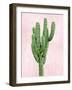 Cactus on Pink I-Mia Jensen-Framed Art Print