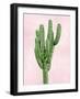 Cactus on Pink I-Mia Jensen-Framed Art Print