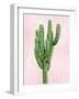 Cactus on Pink I-Mia Jensen-Framed Art Print