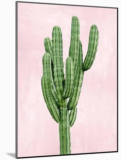 Cactus on Pink I-Mia Jensen-Mounted Art Print