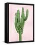Cactus on Pink I-Mia Jensen-Framed Stretched Canvas