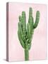 Cactus on Pink I-Mia Jensen-Stretched Canvas