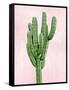 Cactus on Pink I-Mia Jensen-Framed Stretched Canvas