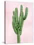 Cactus on Pink I-Mia Jensen-Stretched Canvas