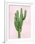 Cactus on Pink I-Mia Jensen-Framed Art Print