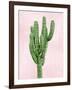 Cactus on Pink I-Mia Jensen-Framed Art Print