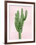 Cactus on Pink I-Mia Jensen-Framed Art Print