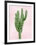 Cactus on Pink I-Mia Jensen-Framed Art Print