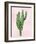 Cactus on Pink I-Mia Jensen-Framed Art Print