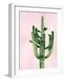 Cactus on Pink II-Mia Jensen-Framed Art Print