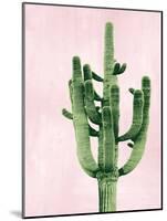 Cactus on Pink II-Mia Jensen-Mounted Art Print