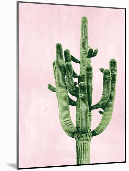 Cactus on Pink II-Mia Jensen-Mounted Art Print