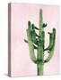 Cactus on Pink II-Mia Jensen-Stretched Canvas