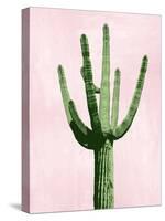 Cactus on Pink III-Mia Jensen-Stretched Canvas