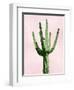 Cactus on Pink III-Mia Jensen-Framed Art Print