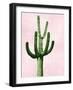 Cactus on Pink IV-Mia Jensen-Framed Art Print