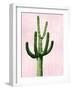 Cactus on Pink IV-Mia Jensen-Framed Art Print