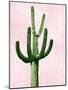 Cactus on Pink IV-Mia Jensen-Mounted Art Print