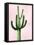 Cactus on Pink IV-Mia Jensen-Framed Stretched Canvas