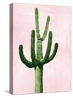 Cactus on Pink IV-Mia Jensen-Stretched Canvas