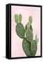 Cactus on Pink V-Mia Jensen-Framed Stretched Canvas