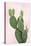 Cactus on Pink V-Mia Jensen-Stretched Canvas